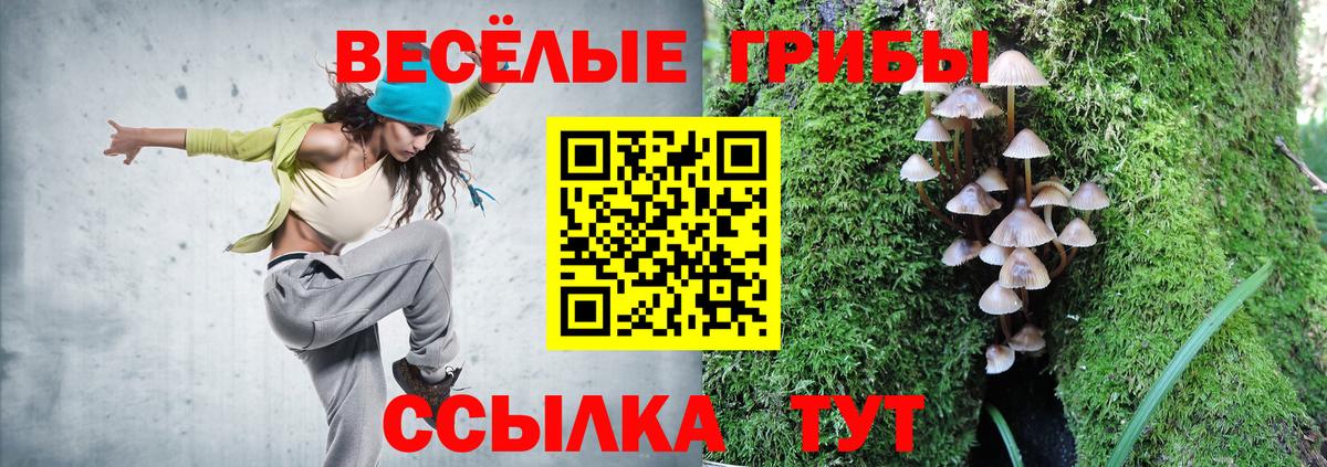 Галлюциногенные грибы Cubensis  наркота  Химки  Вход с VPN  Галлюциногенные грибы прущие грибы 